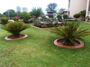 edging-pretoria