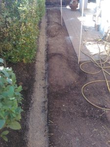 befor-concrete-edging